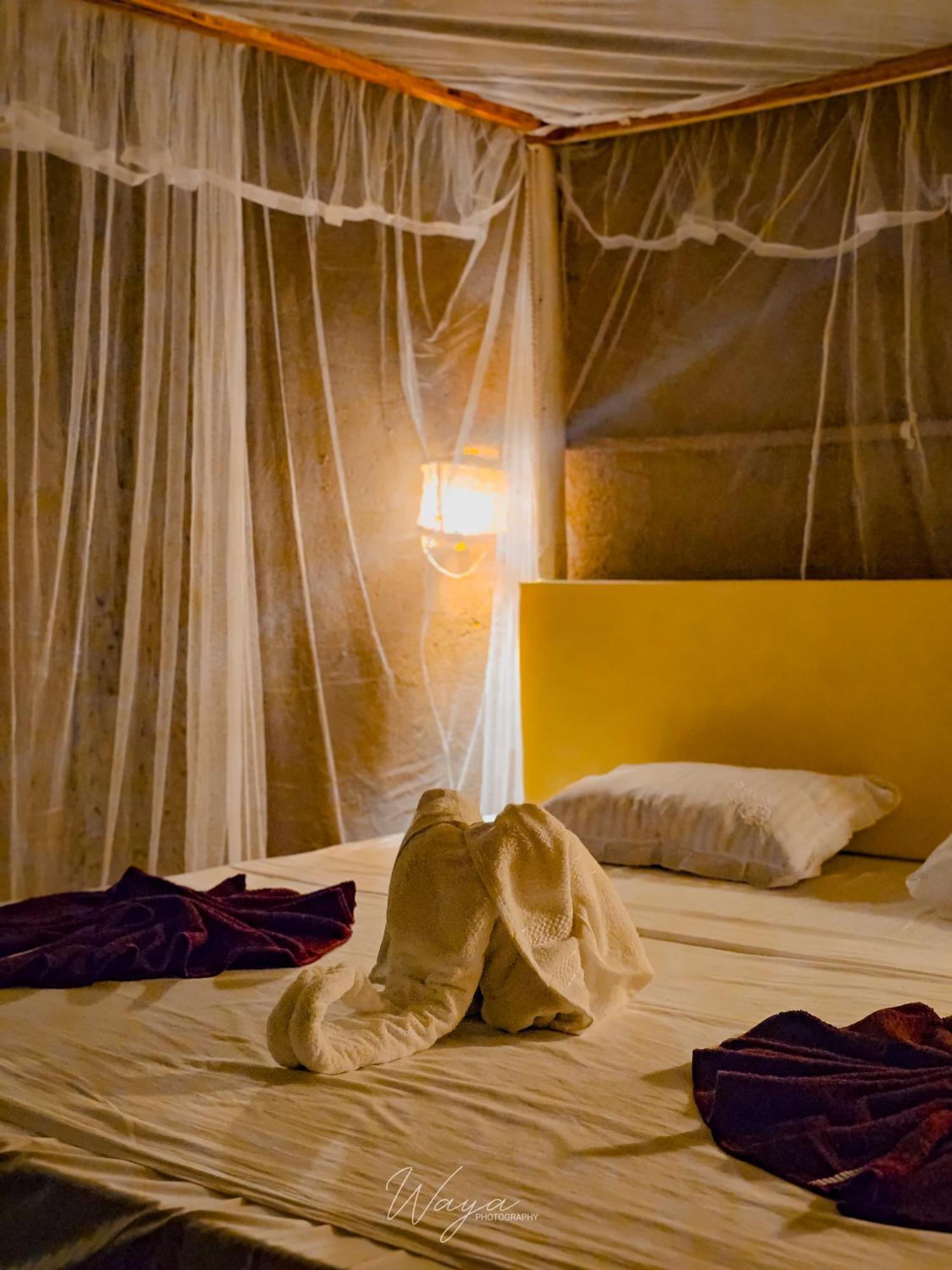 ホテル Wild Safari Clay House ウダワラウェ エクステリア 写真
