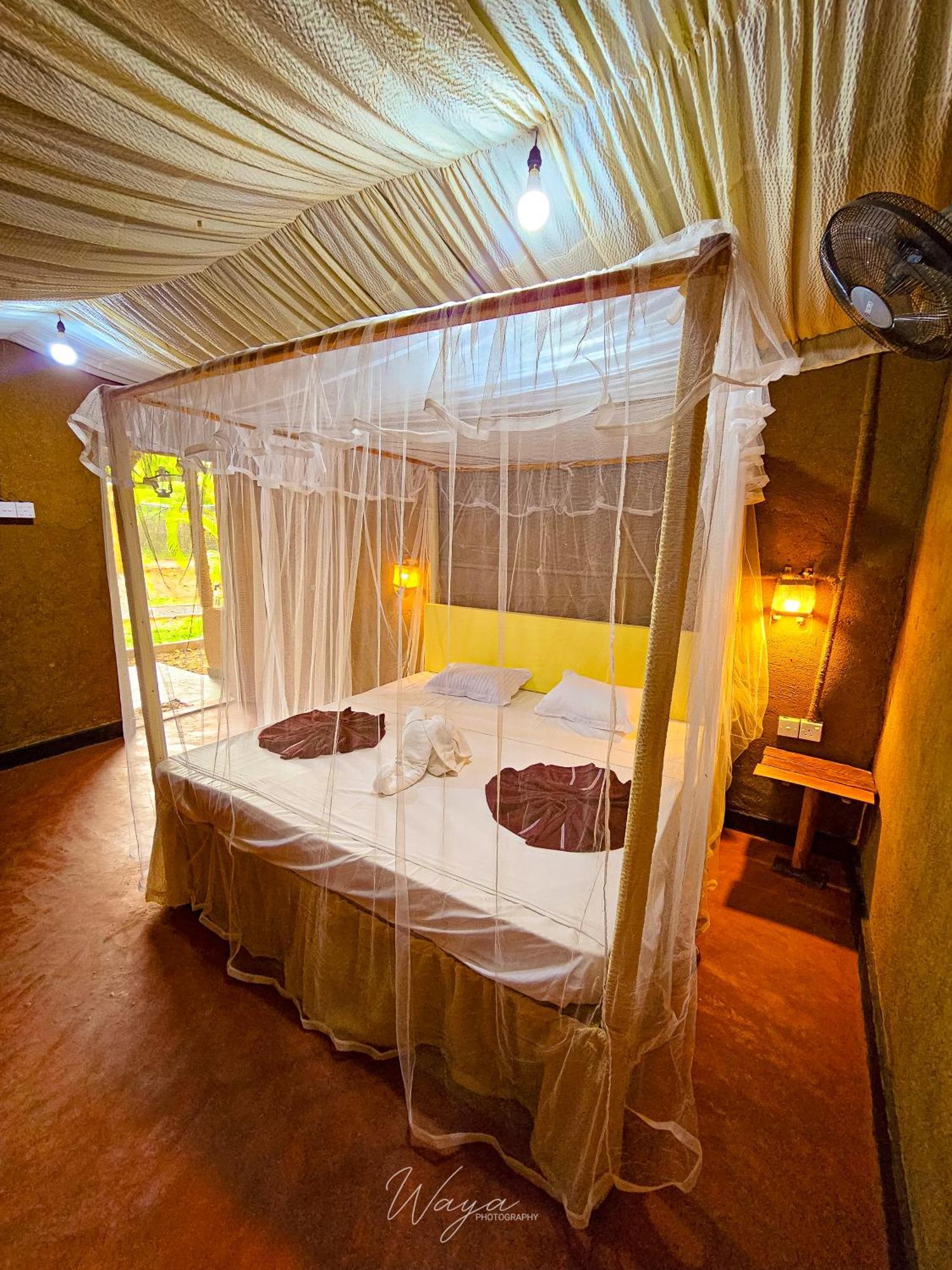ホテル Wild Safari Clay House ウダワラウェ エクステリア 写真